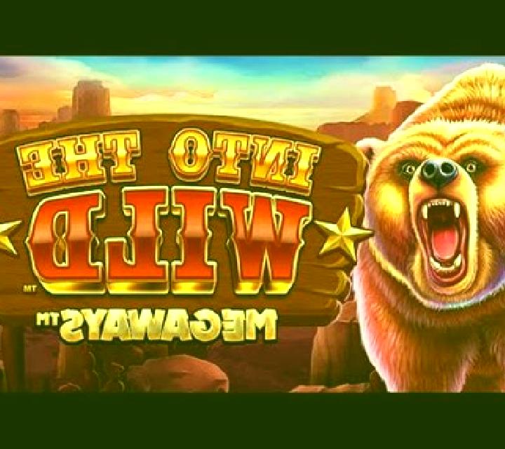 Into The Wild Megaways slot