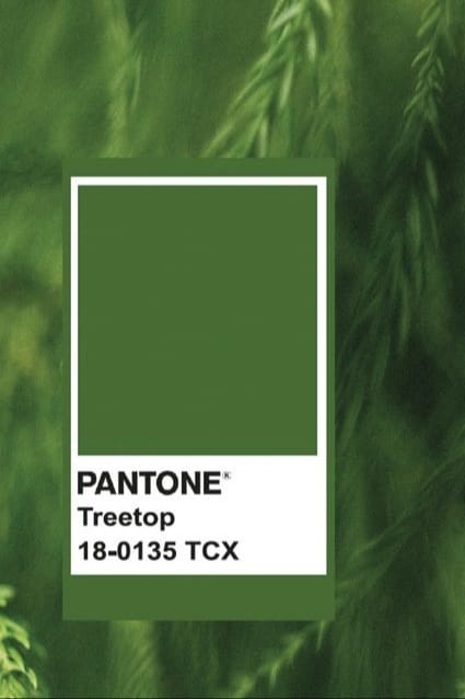 Autumn Winter 2025 Color Trends Fashion 