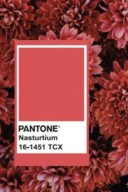 Autumn Winter 2025 Color Trends Fashion 